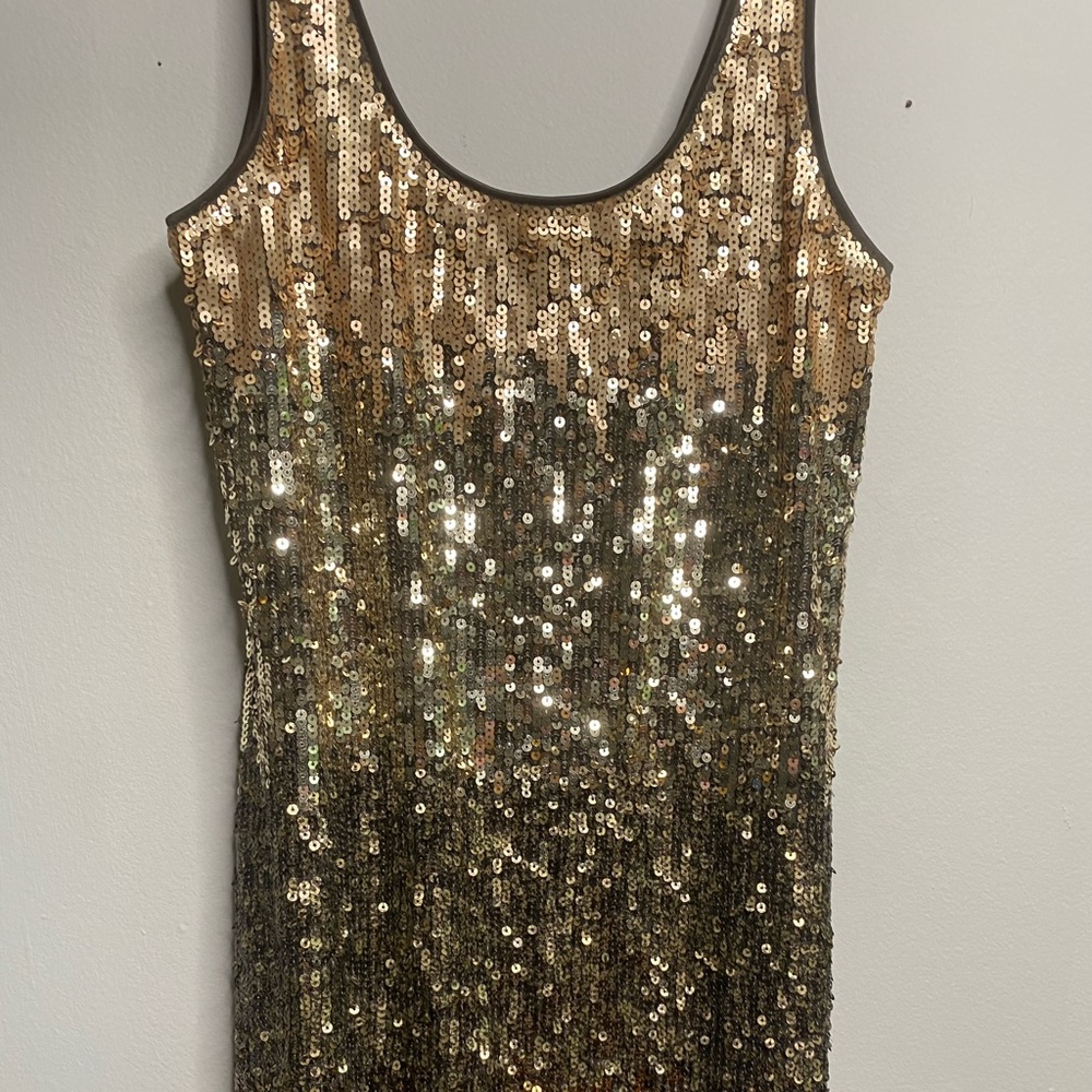 Express Gold Sequin Tank Liner Dress
